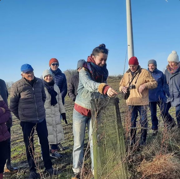 Samedi, une quinzaine de personnes de l’association départementale Haies et bocages ont visité les plantations en agroforesterie de la ferme de Roz Avel, à Bignan (Morbihan). L’exploitante agricole, Ewana Gaumé leur a expliqué comment s’est organisée la transformation de la parcelle nue de vingt hectares. | OUEST-FRANCE